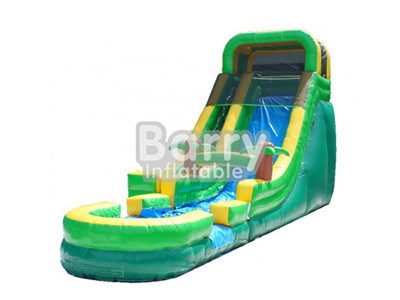 High Quality Jungle Big Inflatable Slides For Sale BY-WS-006